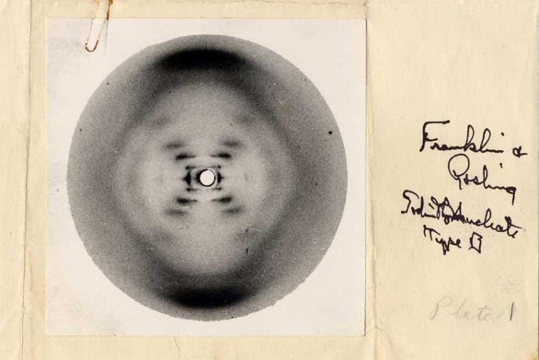 ROSALIND FRANKLIN