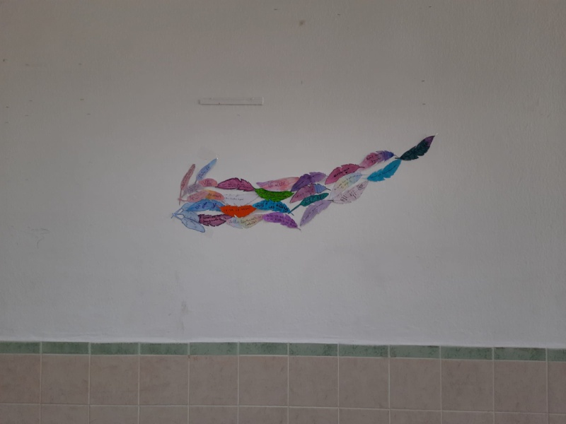 566a6afc fd5e 473d 9ae4 fdc473de76c9