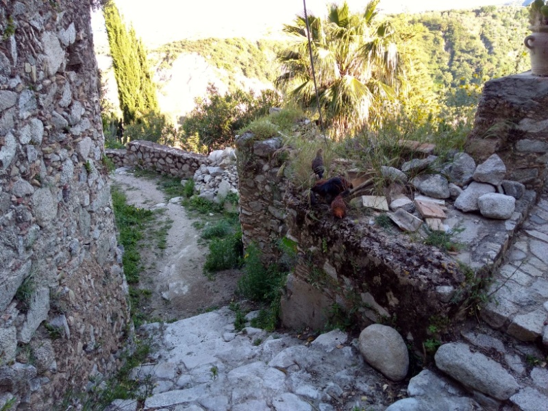 IMG 20190508 175154243 HDR