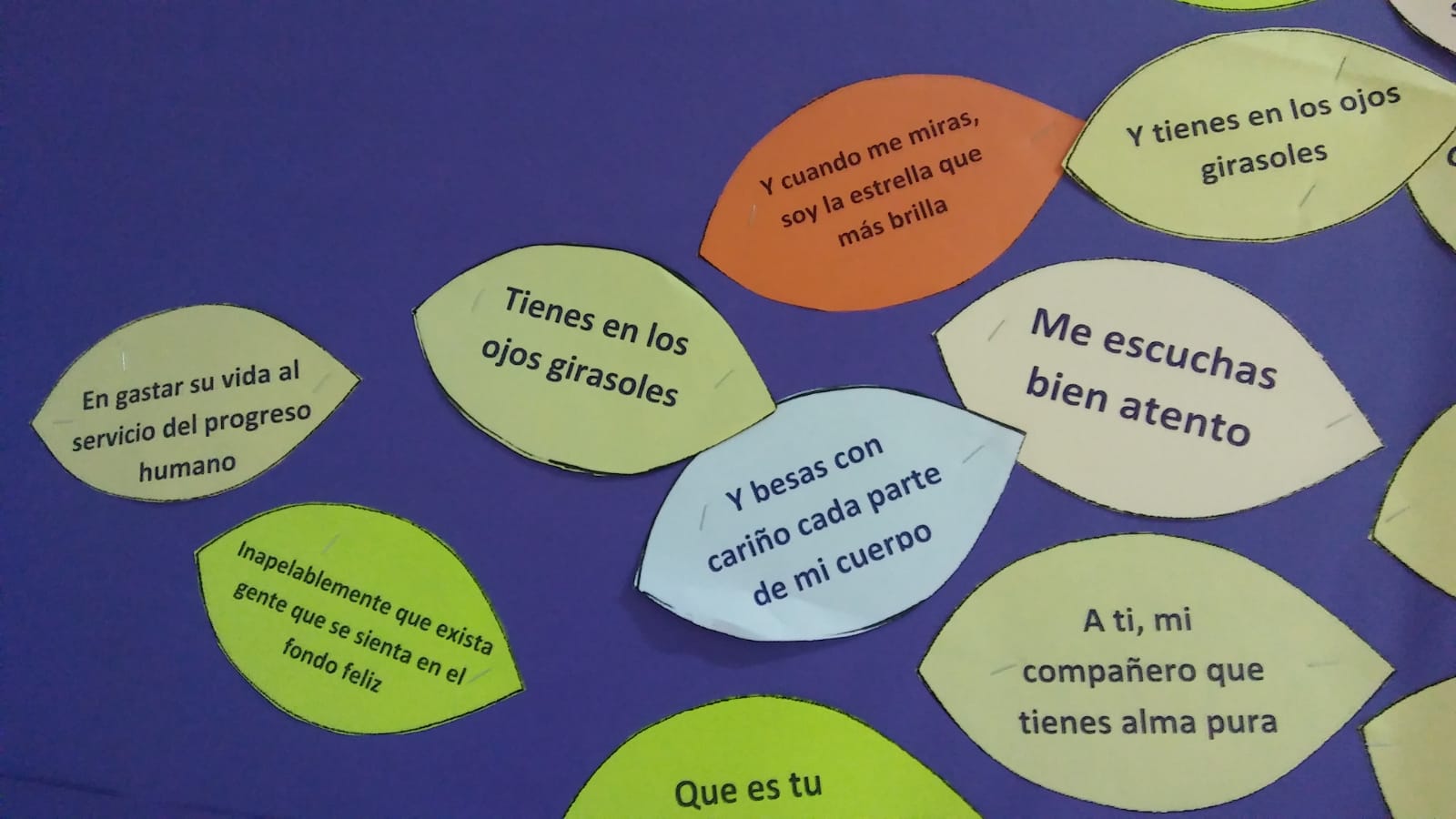 Ec3a622d 6e15 4bb9 b0b1 98552b2dc33d