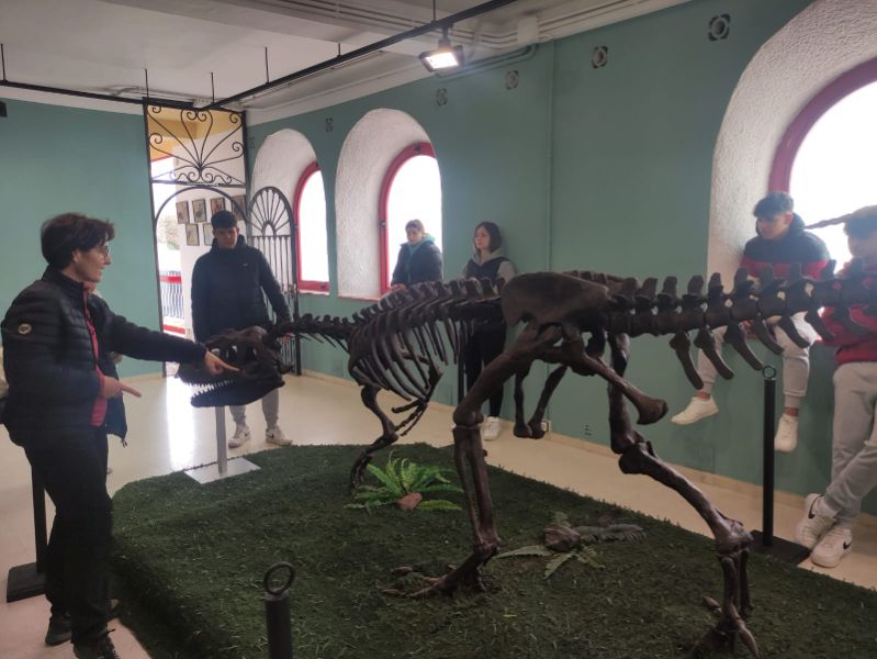 A31d6d4b dc54 4845 983e 77b109d17b8f