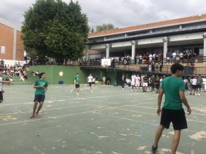 IMG 6199